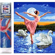 Norimpex Ballerina among swans 30 × 40 cm - Diamond Painting