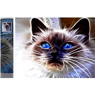 Norimpex Cat Magic 30 × 40 cm - Diamond Painting
