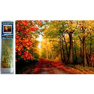 Norimpex Podzim v lese 30 × 40 cm - Diamond Painting