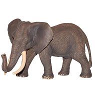 Atlas of the African Elephant - Figure