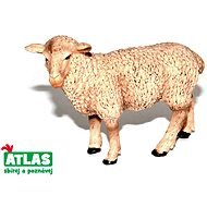 Atlas Ovca - Figúrka