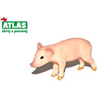 Atlas Piglet - Figure