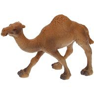 Atlas Camel Dromedary - Figure
