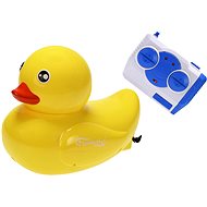 Remote Control Duck - RC Model
