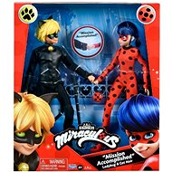 The magic ladybug and the black cat - Figure