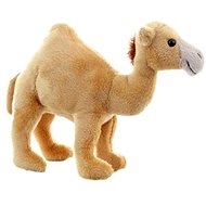 Lamps Dromedary 20 cm - Soft Toy