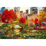 BLUEBIRD Central park NYC 1000 dílků - Jigsaw Puzzle