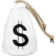 Boland Money bag with dollar print - Decoration