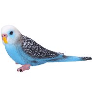 Atlas Parakeet - Figure