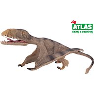 Atlas Pterosaurus - Figure