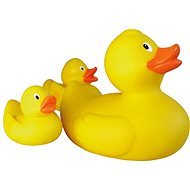 Duck Family - Ducky