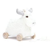 Eda Edvin's draw - Push and Pull Toy