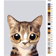 Painting by Numbers - Eye Tabby Cat - Painting by Numbers