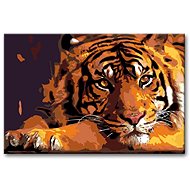 Painting by Numbers - Calm Tiger - Painting by Numbers