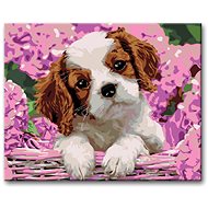 Painting by Numbers - Puppy and Hydrangea - Painting by Numbers