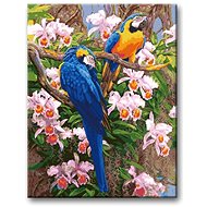 Painting by Numbers - Parrots II - Painting by Numbers