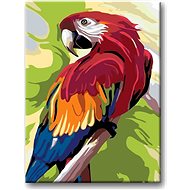 Painting by Numbers - Colourful Parrot - Painting by Numbers