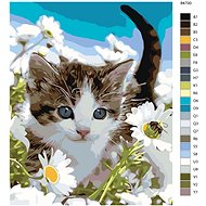 Painting by Numbers - Kitten in Daisies - Painting by Numbers