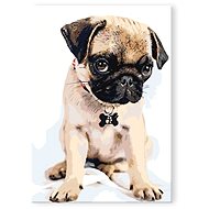 Painting by Numbers - Cute Pug - Painting by Numbers