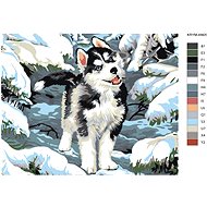 Painting by Numbers - Little Husky - Painting by Numbers