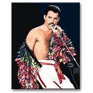 Painting by Numbers - Freddie Mercury - Painting by Numbers