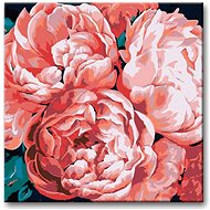 Painting by Numbers - Peonies in the Light - Painting by Numbers