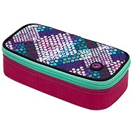 Bagmaster Case Theory 20A - School Case