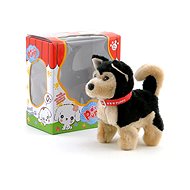 Dog with Batteries - Remote Control Car