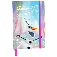 Frozen Holographic Workbook - Journal