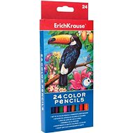 ErichKrause triangular 24 pcs - Coloured Pencils