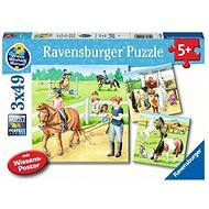 Ravensburger 051298 Lovak 3 x 49 darab - Puzzle