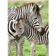 Ravensburger 129485 Favorite Zebras 300 pieces - Jigsaw