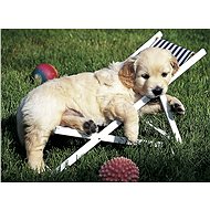 Ravensburger 141791 Golden Retriever 500 pieces - Jigsaw Puzzle