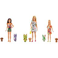 Barbie Dha Sister with swimsuit - Doll