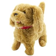 A Dog Walking to Clap - Baby Toy