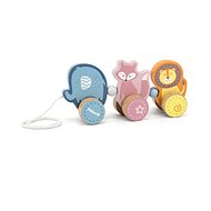 Wooden Push and Pull  - Animals - Push and Pull Toy