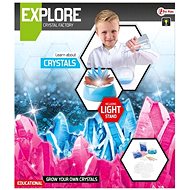 Teddies Crystal Making Science Game with Stand - Craft for Kids