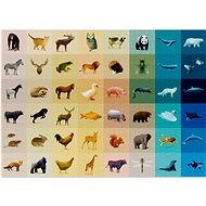 Puzzle Fauna 1000 pieces - Jigsaw Puzzle