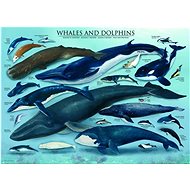 Puzzle Whales and Dolphins 1000 pieces - Jigsaw Puzzle