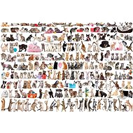Puzzle World of Cats 2000 pieces - Jigsaw Puzzle