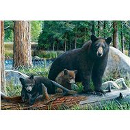Puzzle New Discoveries of 1000 pieces - Jigsaw Puzzle