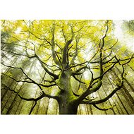 Puzzle Dream Tree 1000 pieces - Jigsaw Puzzle