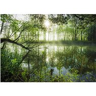 Puzzle Wetland 1000 pieces - Jigsaw Puzzle