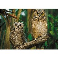 Puzzle - Owls, 1000 Pieces - Jigsaw Puzzle