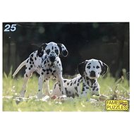 SPEZET - 2 Dalmatians 25 pieces - Jigsaw Puzzle