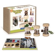 Treasure boxes - Transparent - Thematic Toy Set
