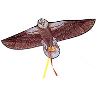 Teddies Dragon Flying Nylon Eagle - Kite