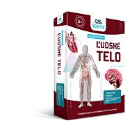 Human Body - Discover the World - 2nd Edition - Social Game