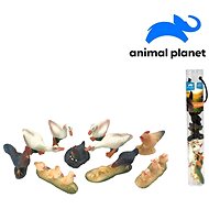 Animals in a tube - farm, 5 - 8 cm, mobile app for displaying animals, 10 pcs - Figure