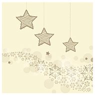 Napkin P 33x33 Christmas MES100073 - Paper Napkins